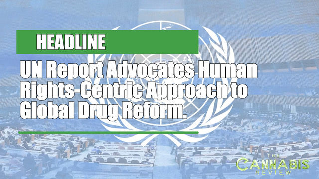 UN Report Advocates Human Rights-Centric Approach to Global Drug Reform . picture of UN logo
