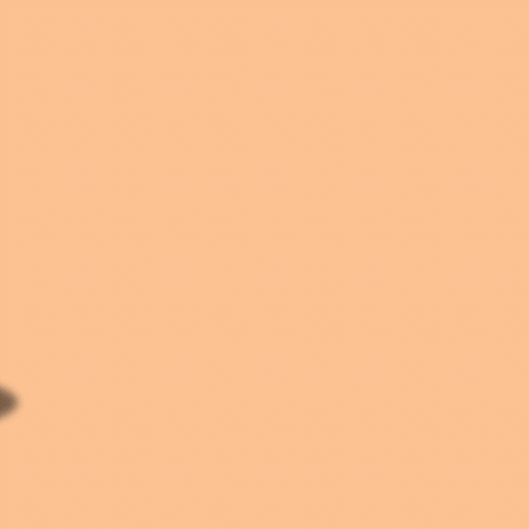 Walsh_CoconutCult_TargetVideo_LemonMeringue.gif