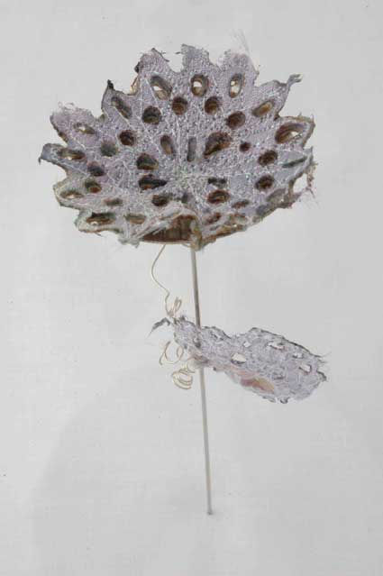 pin