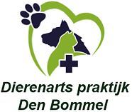 holistisch,dierenarts,den bommel,dierenartsenpraktijk,goeree overflakkee,acupunctuur,dierenarts aan huis,dierenkliniek,dierenartsenpraktijkoudetonge,dierenkliniekgo,goededierenarts,dierenartspraktijk,dryneedling, Achthuizen,Den Bommel,Dirksland,Goedereede,Herkingen,Melissant,Middelharnis,Nieuwe-Tonge,Ooltgensplaat,Ouddorp,Oude-Tonge,Sommelsdijk,Stad aan 't Haringvliet,Stellendam,Willemstad,Heijningen,klundert