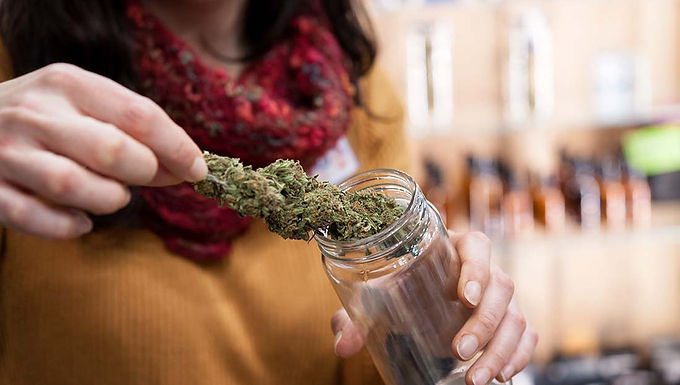 Cannabis Insurance