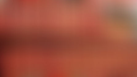 Una foto le cuesta una investigación y 44 mil kilos de chiles asegurados a La Costeña