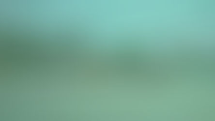 Alerta en Veracruz por deslaves ante desplazamiento de Earl: PC Segob