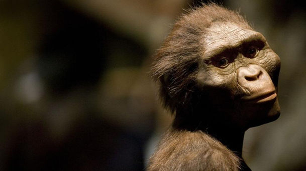 LA AUSTRALOPITHECUS LUCY MURIÓ AL CAER DE UN ÁRBOL, SOSTIENE UN ESTUDIO