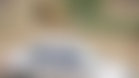 Mujer muere tras ataque de tigre siberiano en China