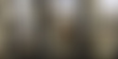 Foto de Internet
Niegan autoridades malos tratos a El Chapo