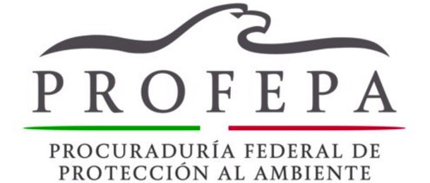 ANIMALES INCAUTADOS POR PROFEPA EN AGUASCALIENTES ESTÁN RESGUARDADOS EN EL PARQUE RODOLFO LANDEROS