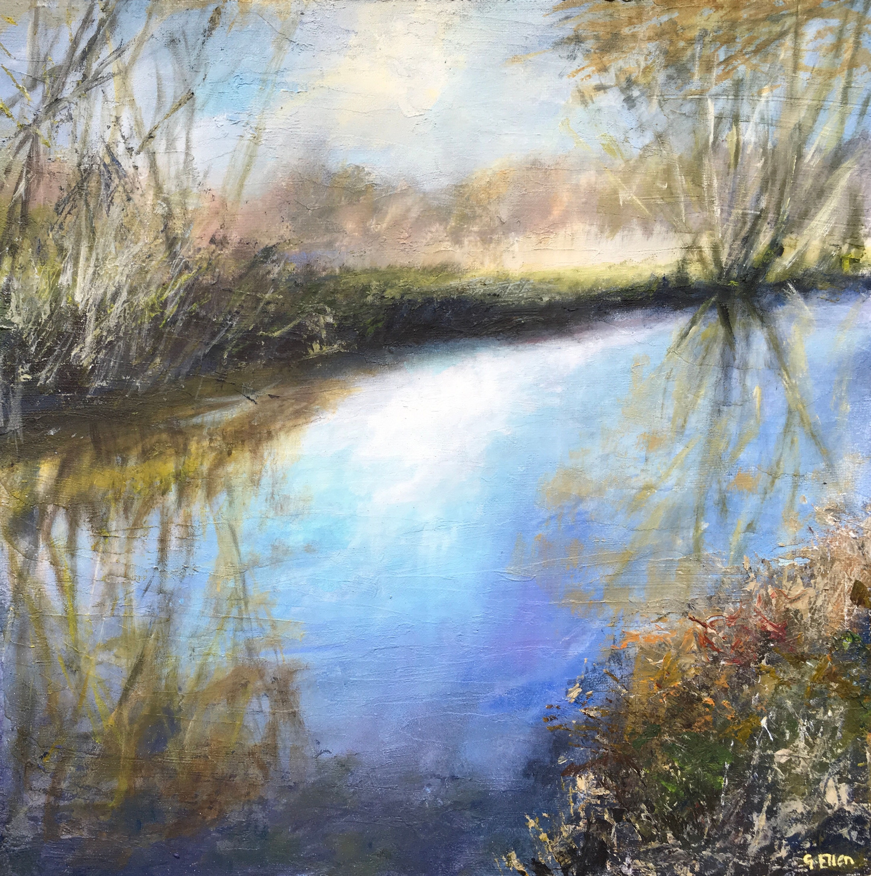River Wey, Godalming