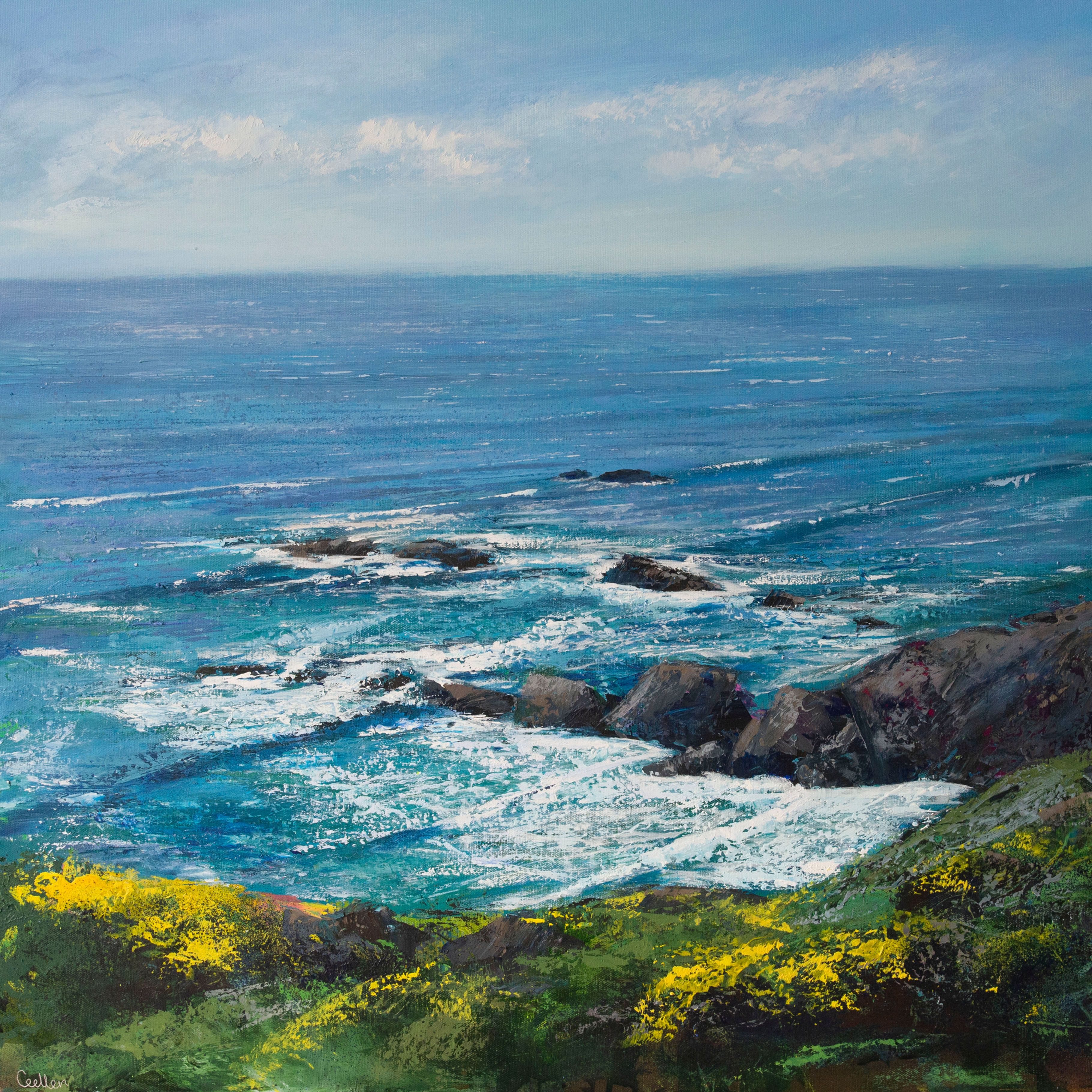 Gorse Cliffs, Sandymouth