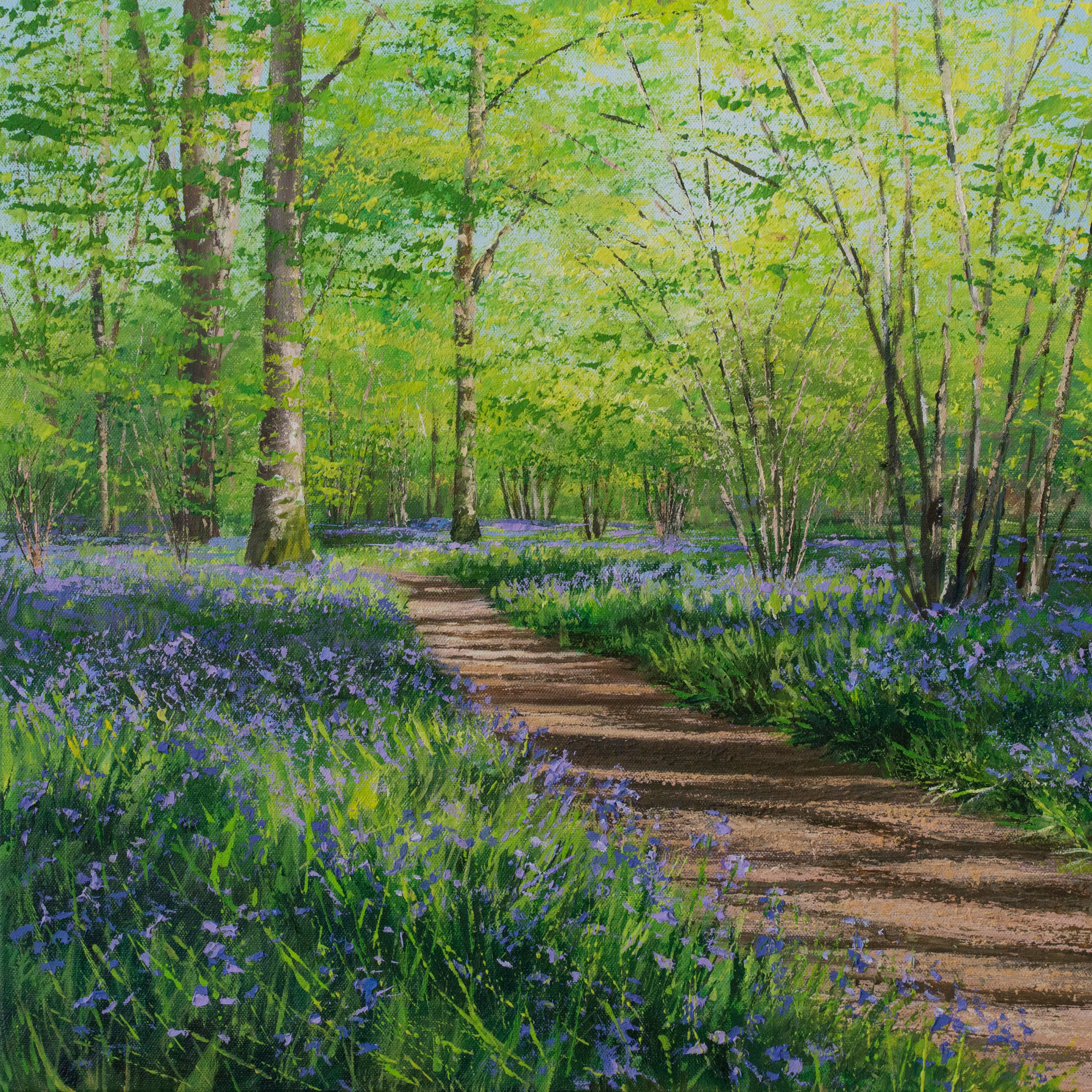 A carpet of Bluebells