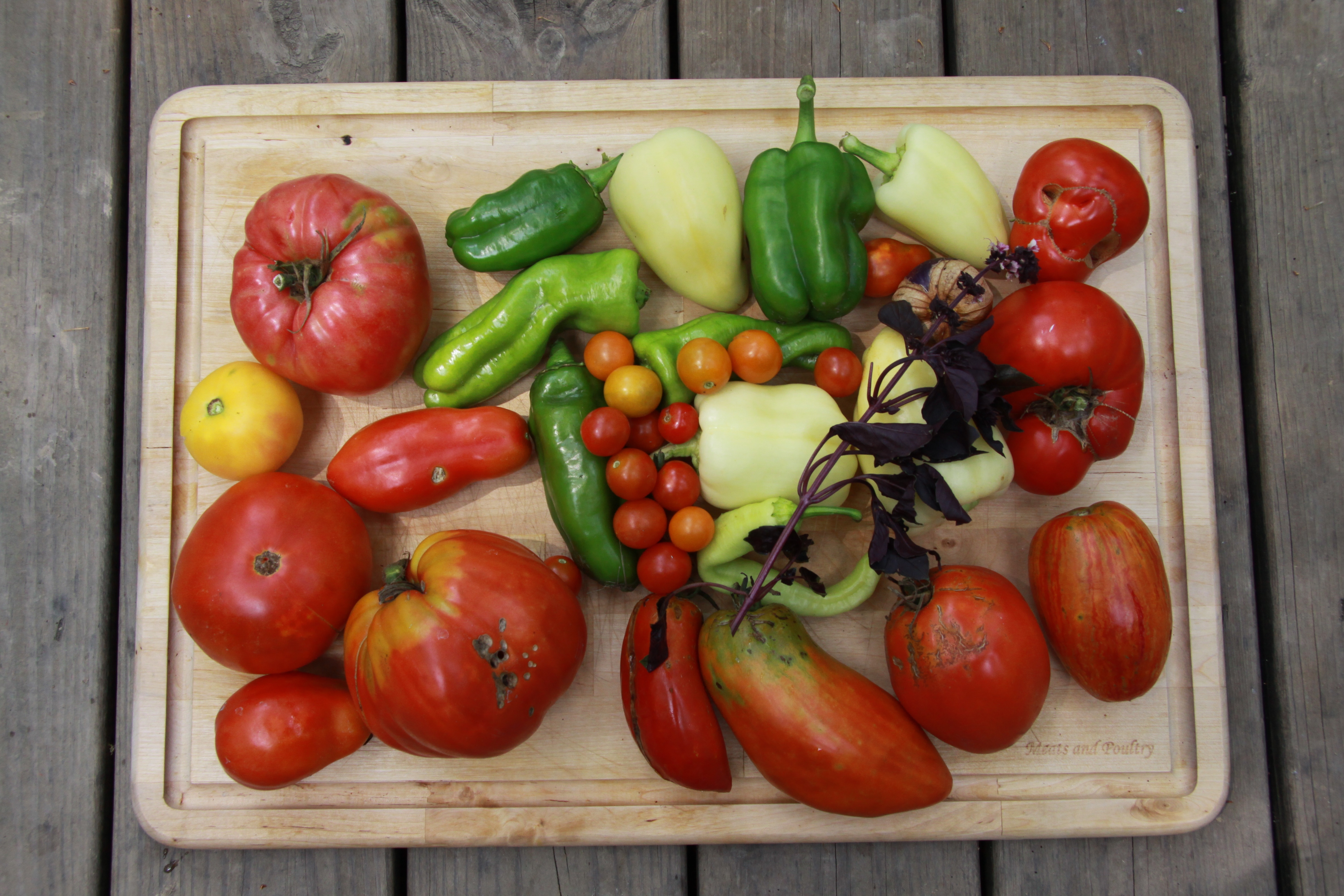 Summer Bounty