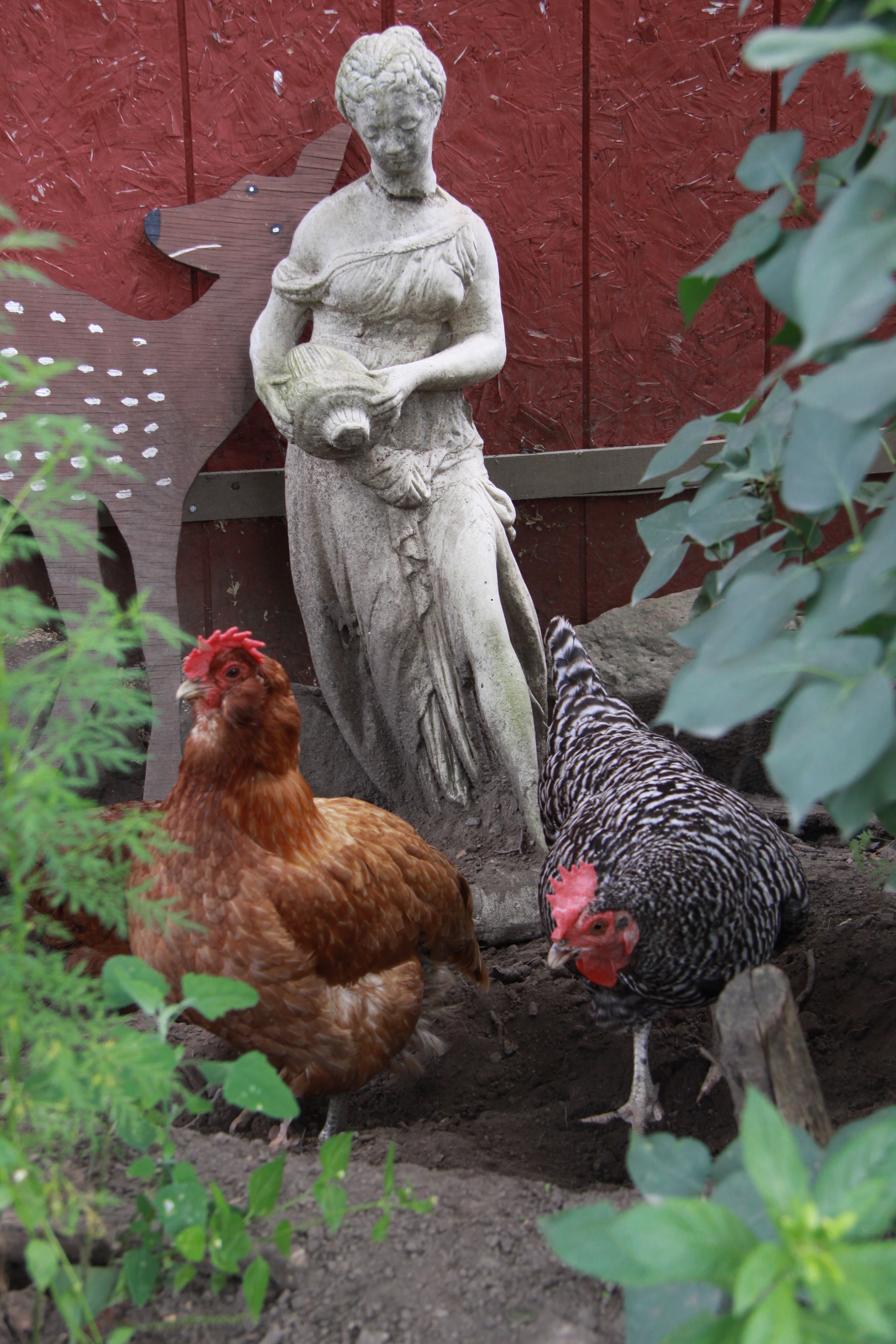 Chicken Delight