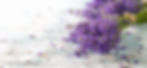 Lavendar+Fresh+Cleaning_edited_edited.jpg