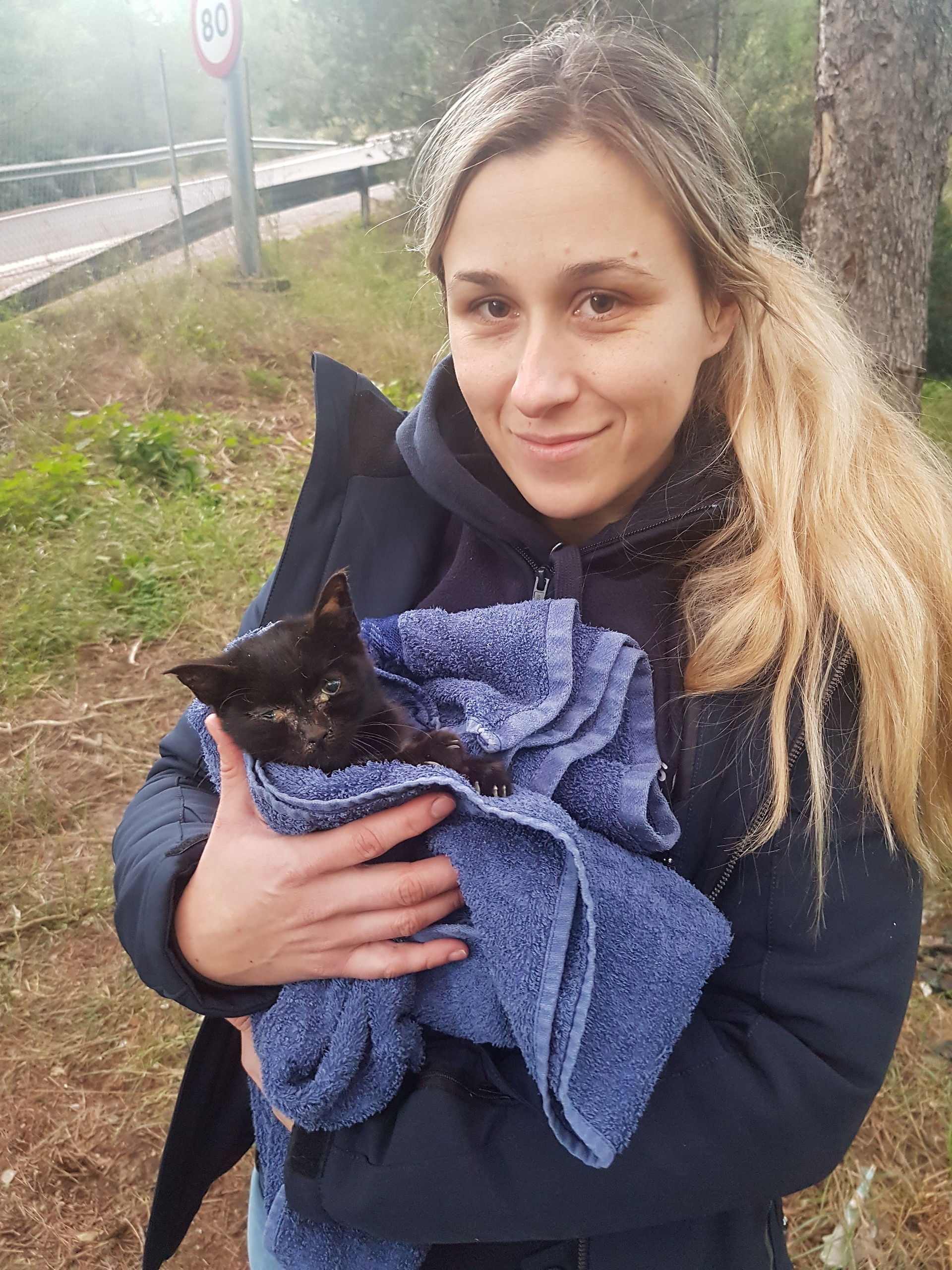 die schwarze kleine Katze