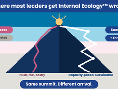 Where Most Leaders Get Internal Ecology™ Wrong