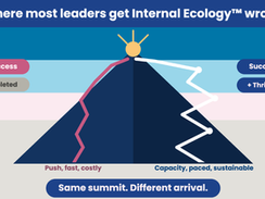 Where Most Leaders Get Internal Ecology™ Wrong