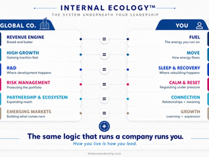 Internal Ecology™: You Know How to Run a Portfolio. Have You Applied That Logic to Yourself?