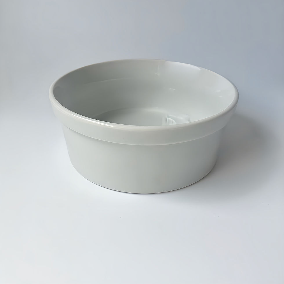 Comedouro & Bebedouro G - Clo Gatissima