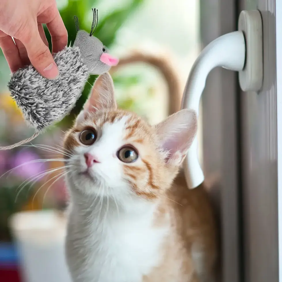Miniatura: Brinquedo ovelha recheável
