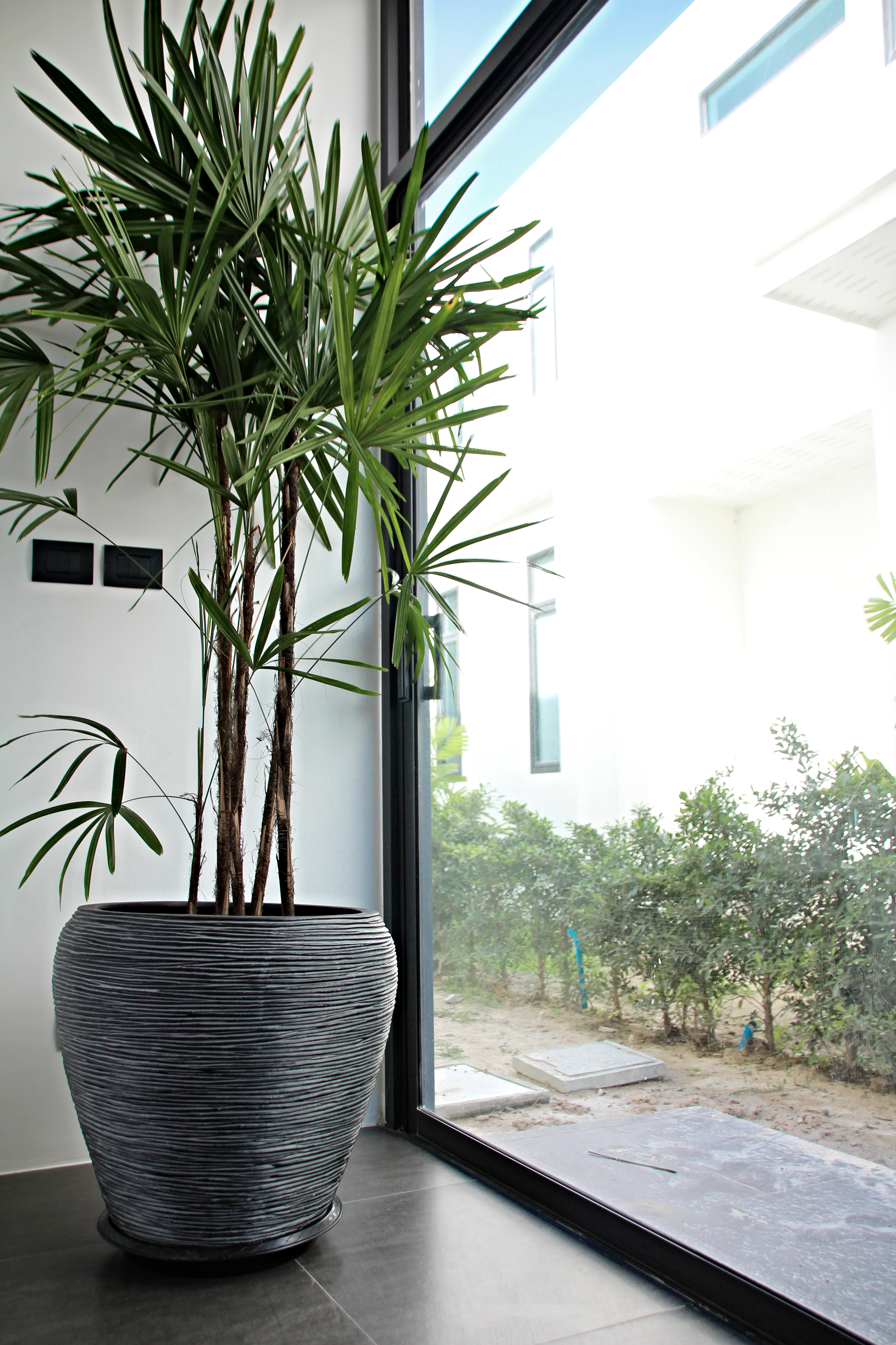 La Bua Development