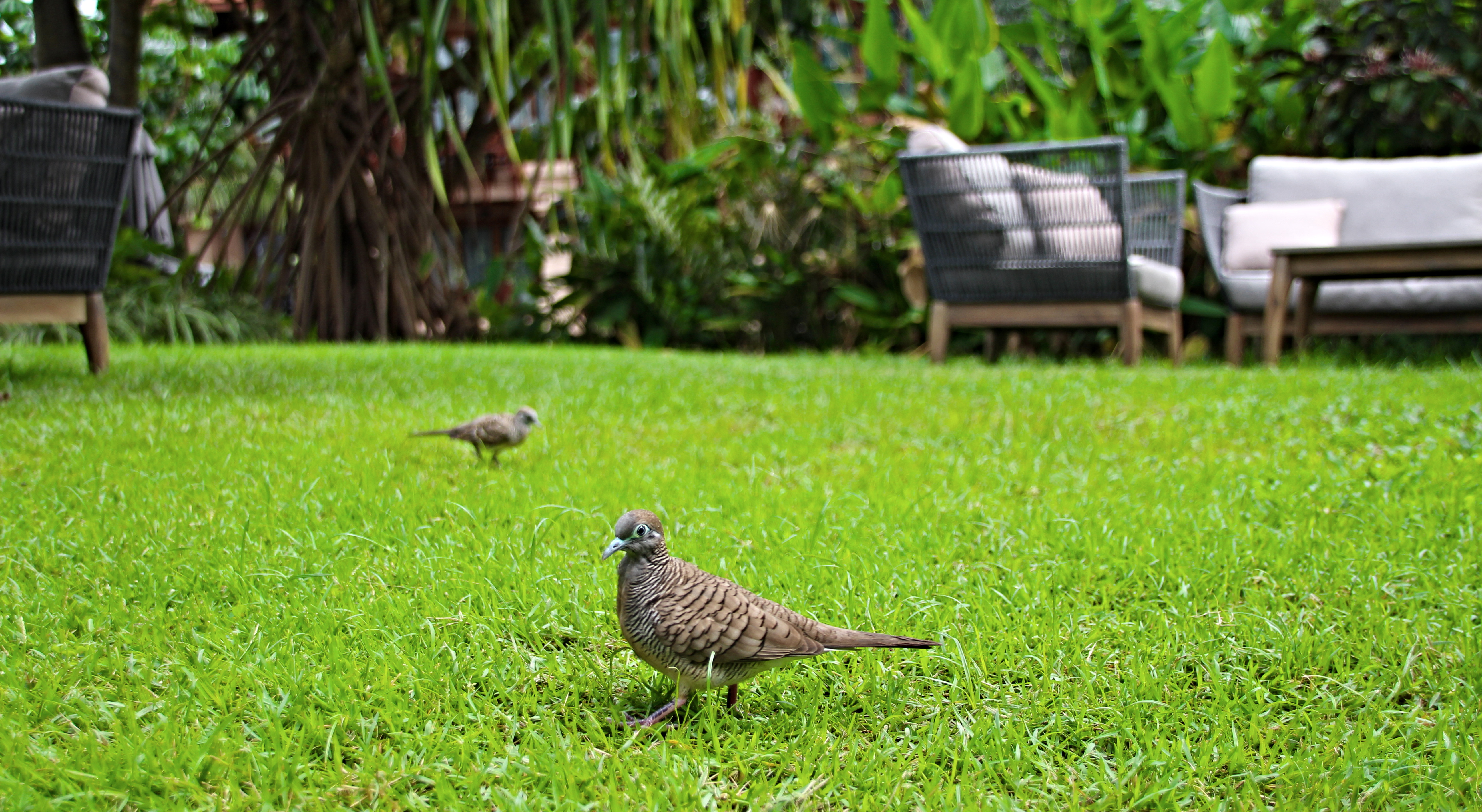 Anantara Hua Hin Resort