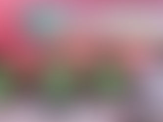 Politique: Le Mouvement des Transporteurs Haïtiens dénonce le CPT…