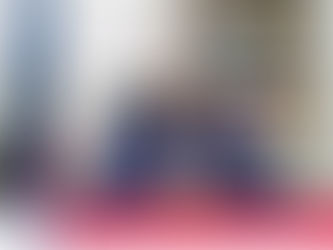 Déclaration de patrimoine d'Emmanuel Vertilaire, un geste de transparence…