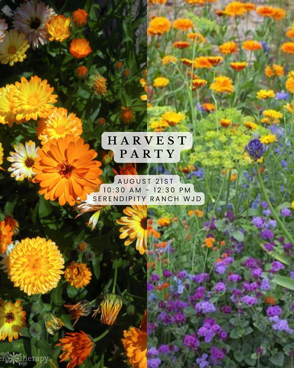 Harvest Party 8/21