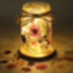 Pressed Flower Fairy Light Class (Enumclaw)