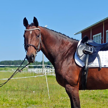 WhatsApp Image 2025-08-31 at 17.19.40.jpeg