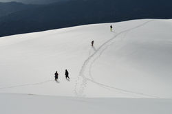 DSC_0529.JPG