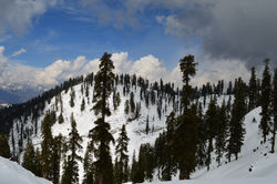 DSC_0355.JPG