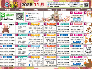 2025年11月スケジュール