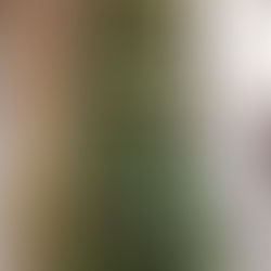 音とおはなしのクリスマス