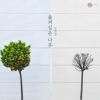 김은성 - 옮겨심은 나무