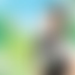 최아윤 - 새싹시 햇살분 개나리초