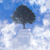 신하늘 - 우린 나무처럼