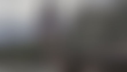 Schützenfest zwischen Dom und Karneval