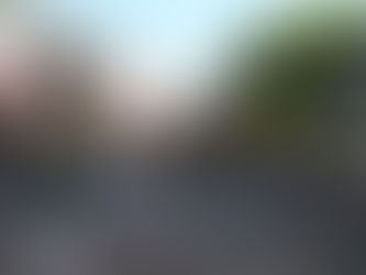 Neusser Hoenesse – die Blumenhörner von Neuss