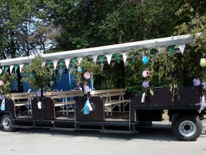 Sechs Vereine – ein Thronwagen