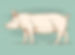 Pig visual