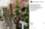Instagram Image of blooming plants along the way to the inn - comments by two people saying this is beautiful