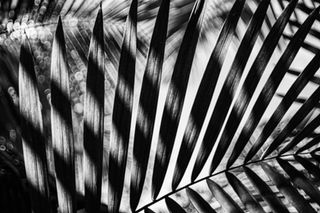 Puerto Rico -02705.jpg