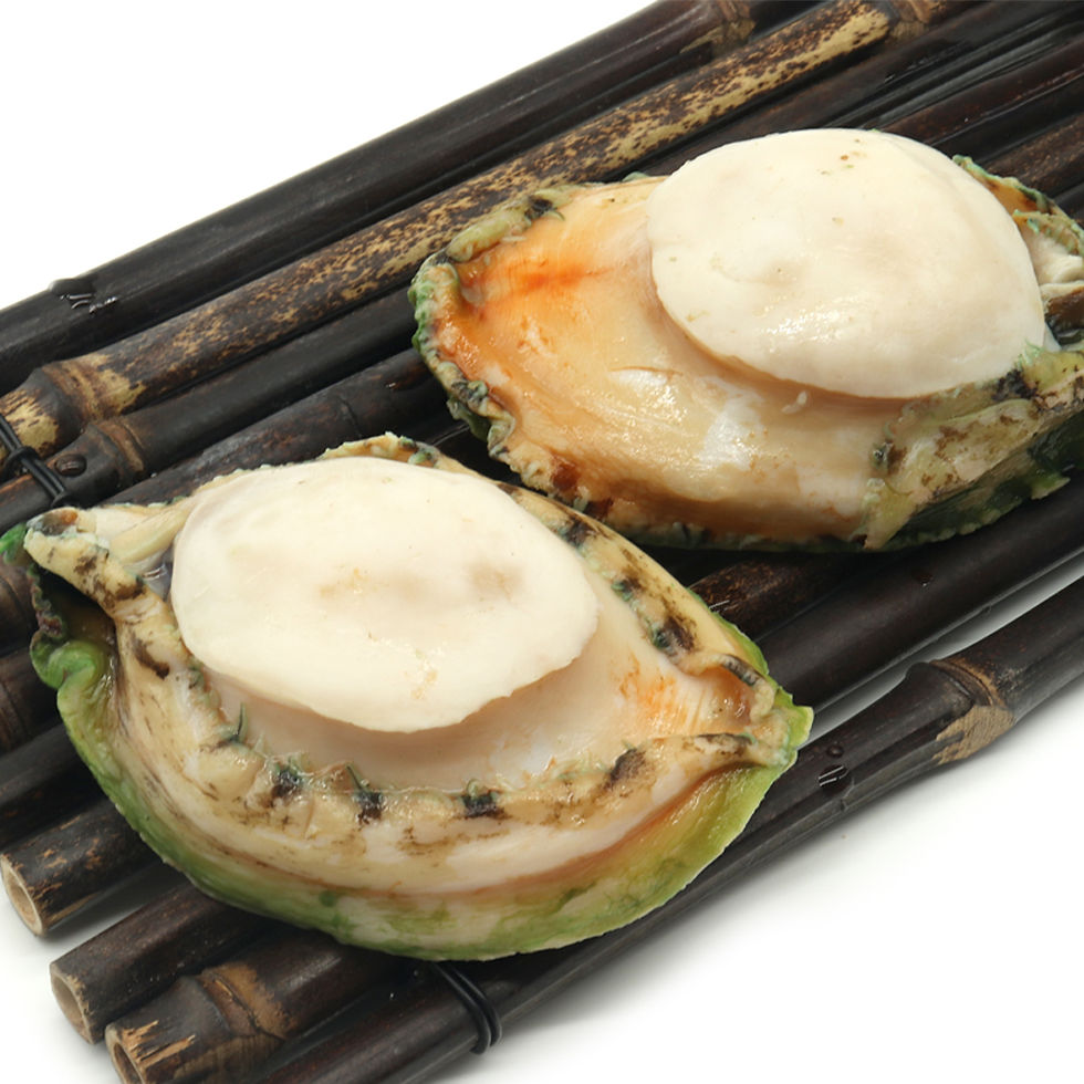 Australia Frozen Greenlip Abalone (2-3pcs)
