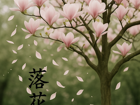 시를 잊은 성도에게 - 낙화 (落花) / 이형기