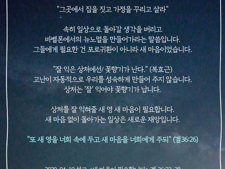 대림절 묵상 12 - 새 마음이 필요합니다
