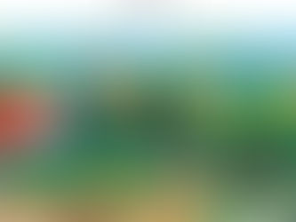 이번 주 묵상 포인트 (10/24-30)