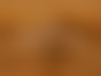 시를 잊은 성도에게 - 배경이 되는 일 / 문성해