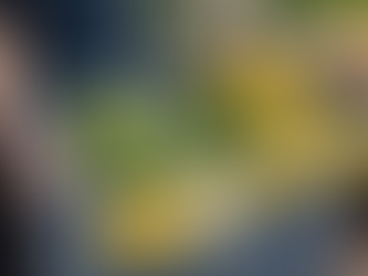 Reducing Waste and Promoting Environmental Protection: Ara's Impactful Initiatives