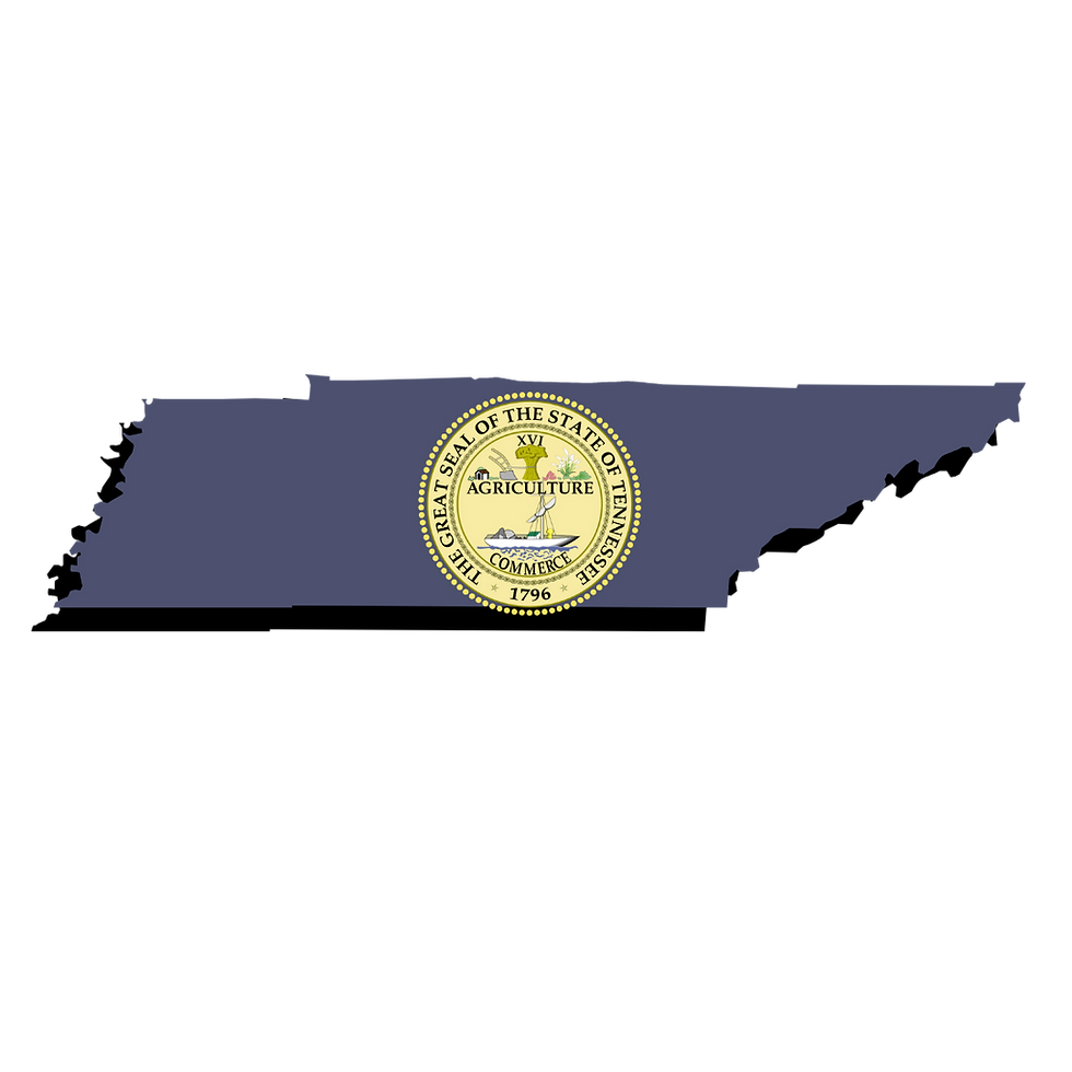 Remote Online Notary, Virtual Notary, Notary Public, Notary Near Me